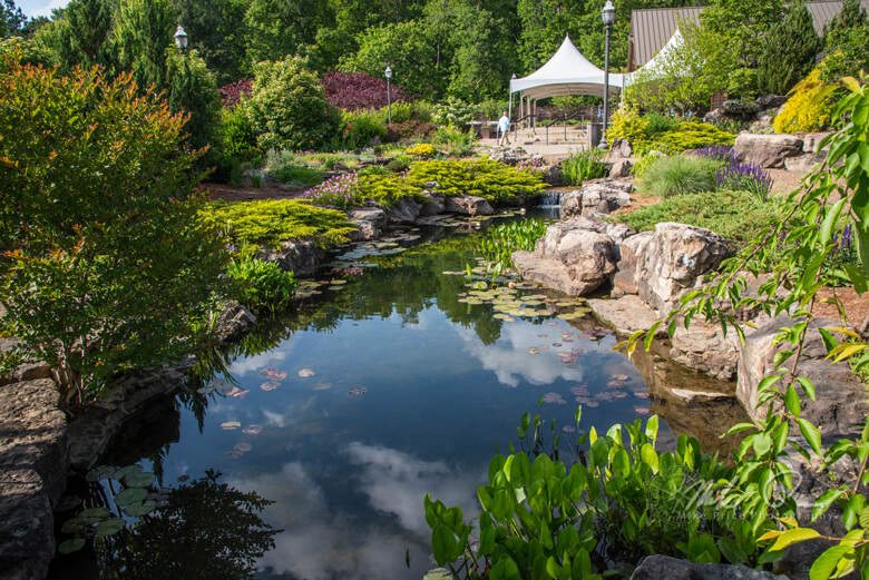 a small pond at the botanical garden of the ozarks