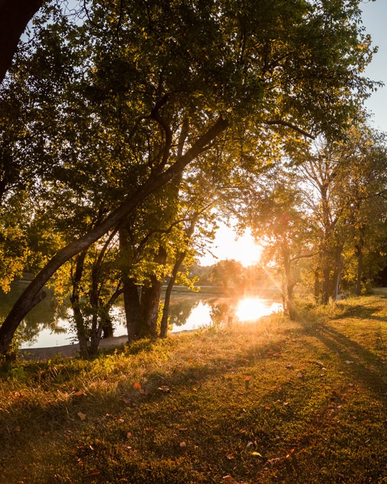 SPRINGDALE, AR
